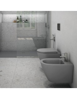 RAK CERAMICS Feeling Miska WC podwieszana 52x36 cm, rimless, szary mat