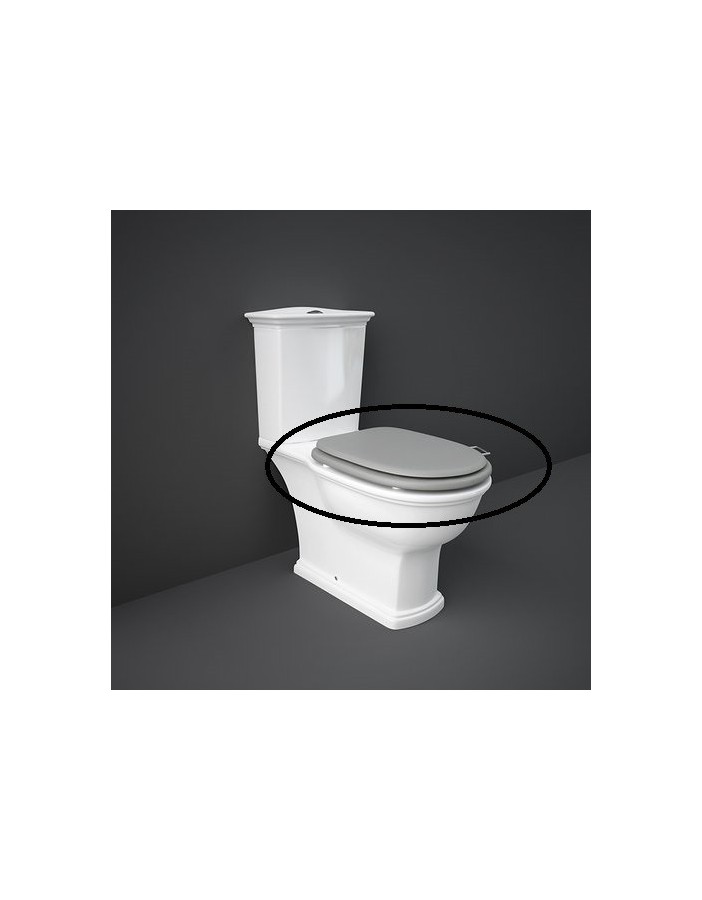 RAK CERAMICS Washington Deska WC wolnoopadająca lakierowana, szary mat RAK CERAMICS Washington Deska WC wolnoopadająca lakierowana, szary mat